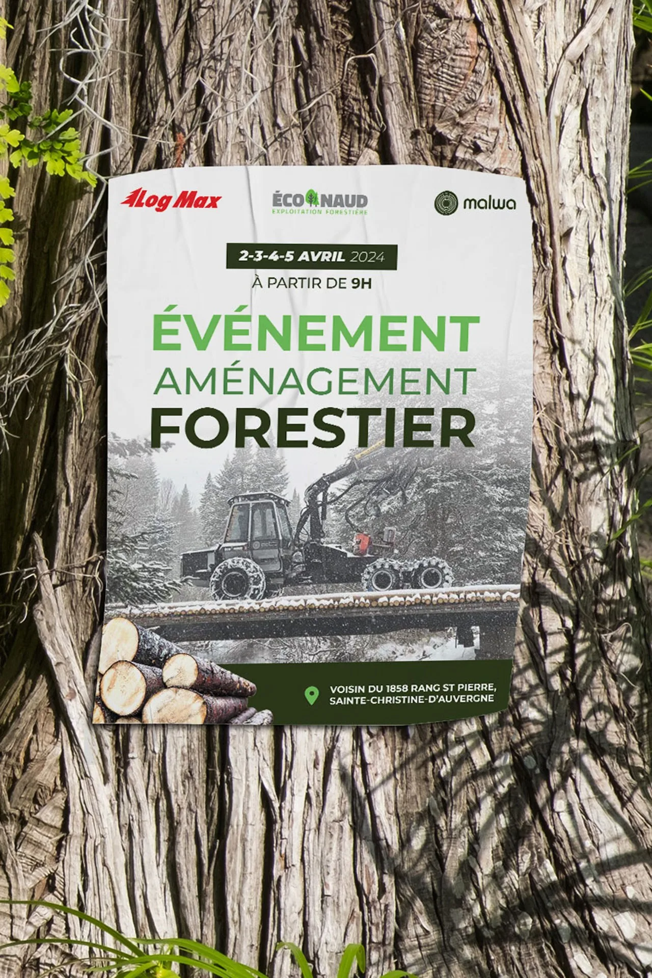 Affiche foret 2