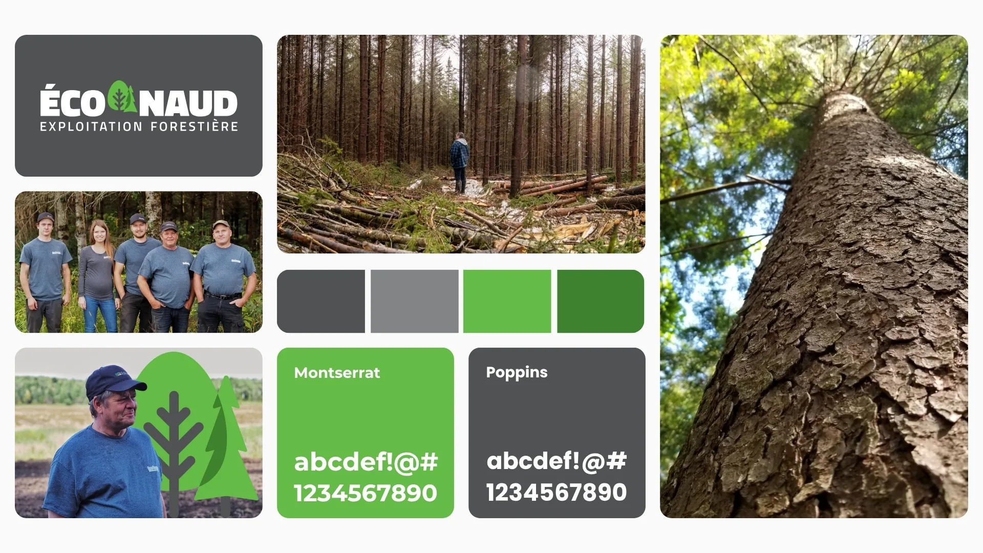 Image grid presentation projet 1